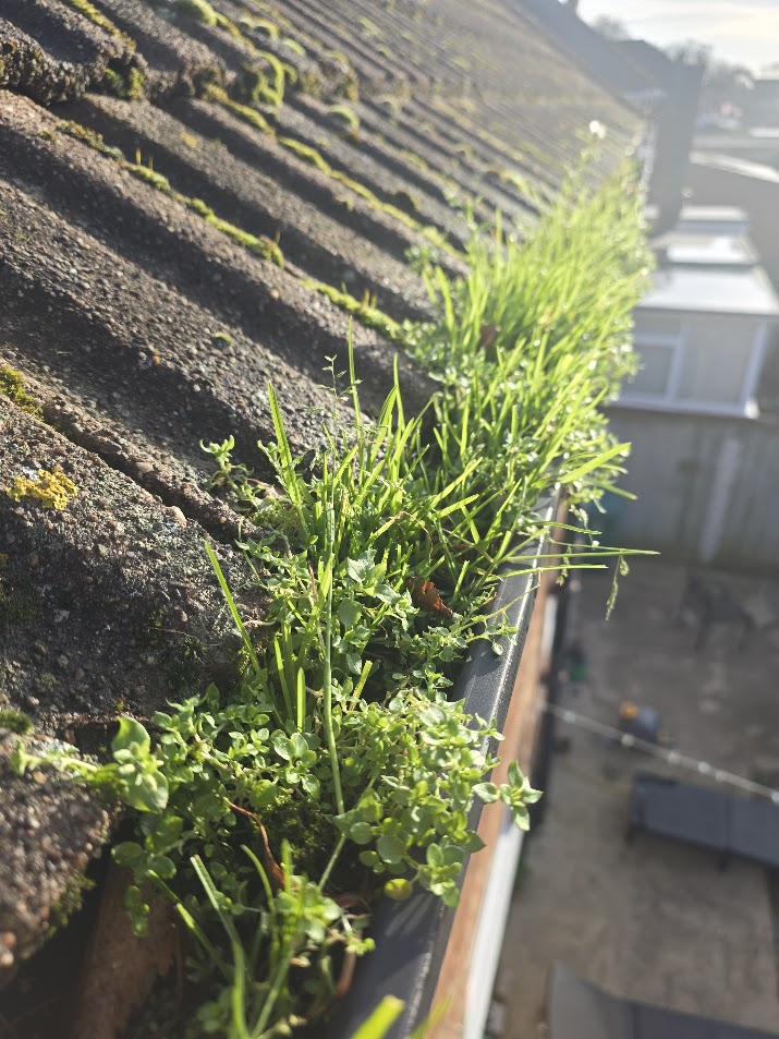 Gutter clearing on a Grimsby home